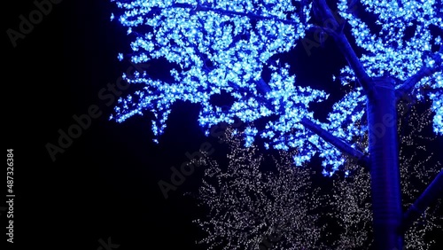 Christmas decoration's trees around the pond in Retiro Park, Madrid (Spain). Trees have lights as leaves. Each tree light's have a different colour. We first see a blue and then pink. People behind. photo