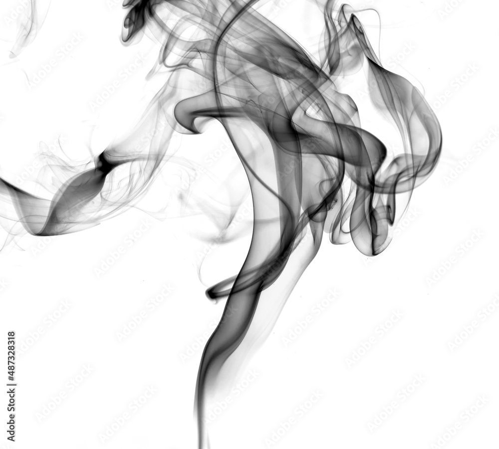 Twisted plumes of smoke, movement of black smoke on a white background. Abstract smoke lines