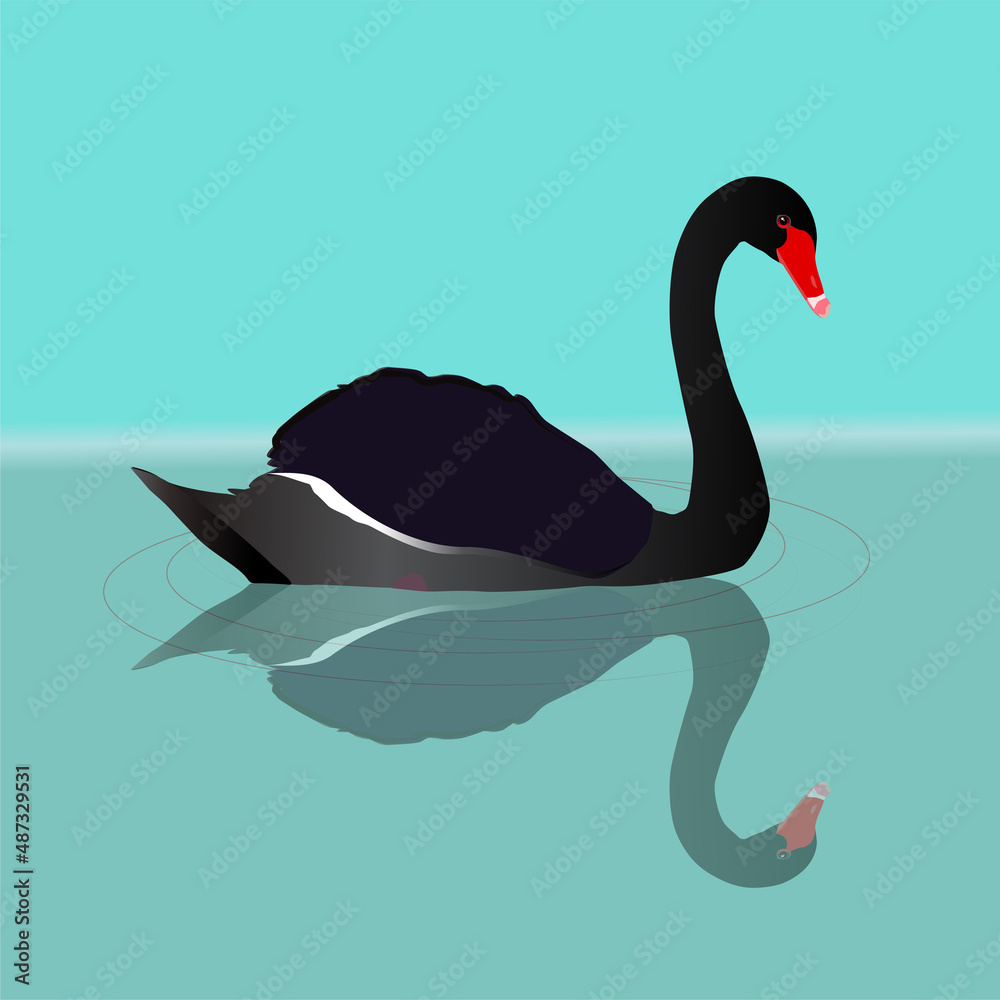 A vector illustration of a black swan swimming in the water. You can see the reflection of the big black bird in the water. Waves are visualized with grey thin circles.
A vector illustration of a black swan swimming in the water. You can see the reflection of the big black bird in the water. Waves are visualized with grey thin circles.
