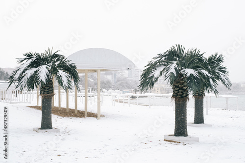 Cityscape of Gelendzhik. View of the central beach with palm trees during the snow.