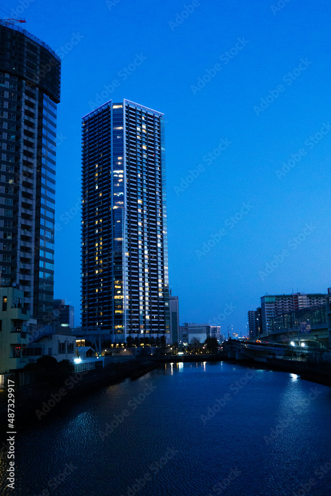 Fototapeta premium Night view of high-rise condominiums in Tokyo, Japan_08