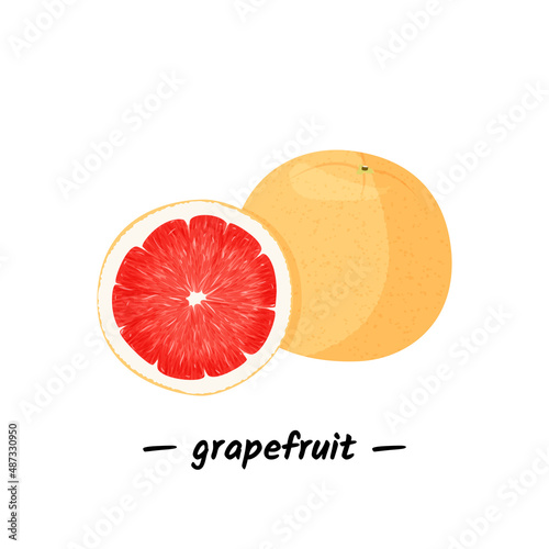 Fresh red grapefruit illustration. Isolated on white background.