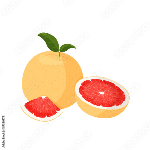 Fresh red grapefruit illustration. Isolated on white background.