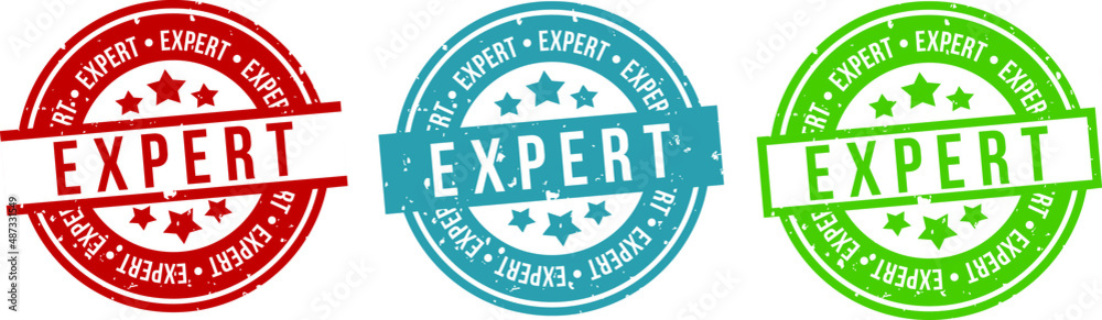 Expert stamp badge. Round isolated expert sign. Expert label set.