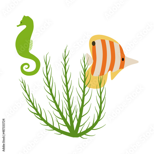 Flat Seahorse Fish Illustration