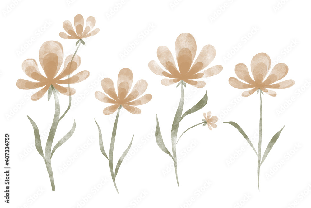 Variety of watercolor trendy flowers. Vector illustration for web, app and print. Elegant feminine shapes floristic isolated chrysanthemums flowers. Garden, botanical, minimalistic floral set.