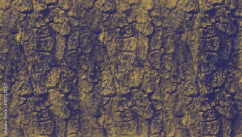 Texture of the Bark