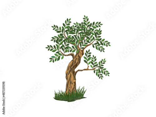tree vector hand drawn isolated on white
