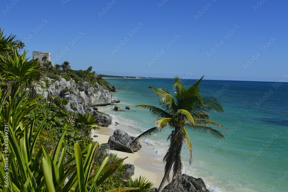 Costa de Tulum com céu azul e coqueiro - obrazy, fototapety, plakaty 