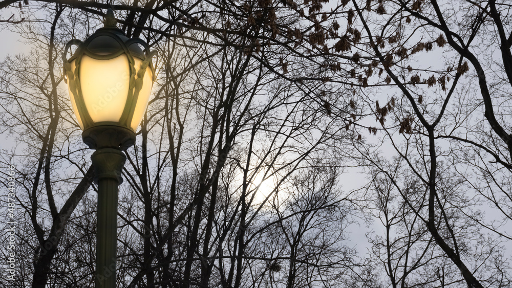 Image of a lantern in the autumn evening park Image of a lantern in the autumn evening park
