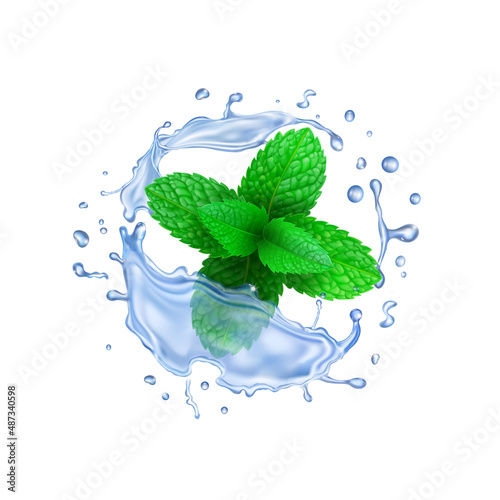Realistic vector water splash with green peppermint leaves Fresh splashing drink with mint. Vector