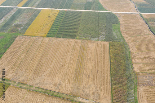 Aerial photo farmland top view landscape after harvest