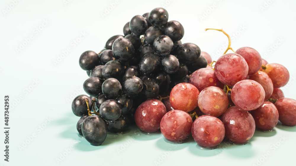 Branches of black and red grapes with water drops on a light background natural lighting.