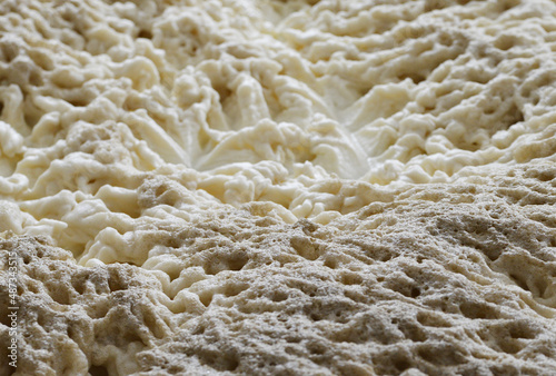 The fermentation of beer
