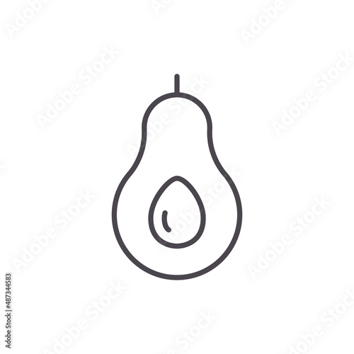 Avocado outline icon, Vector isolated simple line avocado symbol