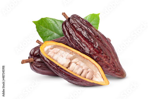 Group of red cocoa fruit with cut in half slice and green leaf isolated on white background.