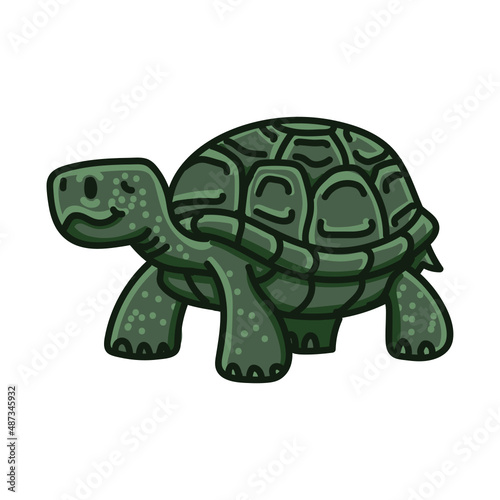 Hand drawn turtle cartoon character illustration Animal.