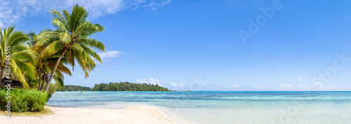 Beach panorama on a tropical island with palm trees photo