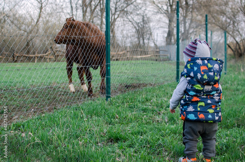 A little boy stands near a corral with a cow. Children and animals in the village.  photo