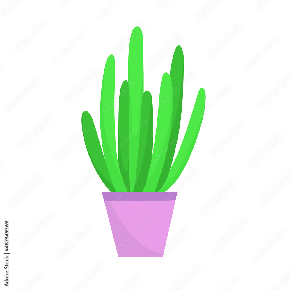 Home plant in a pot. Vector illustration isolated on white background. Home plant in a pot. Vector illustration isolated on white background.