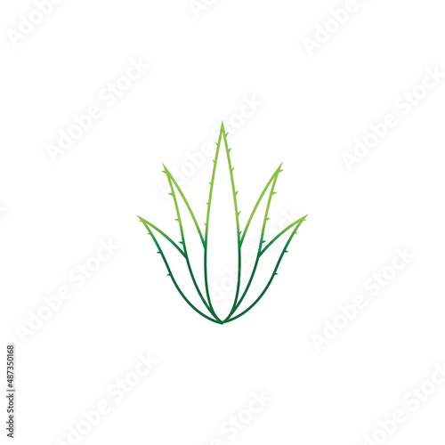 Aloe vera logo vector ilustration template