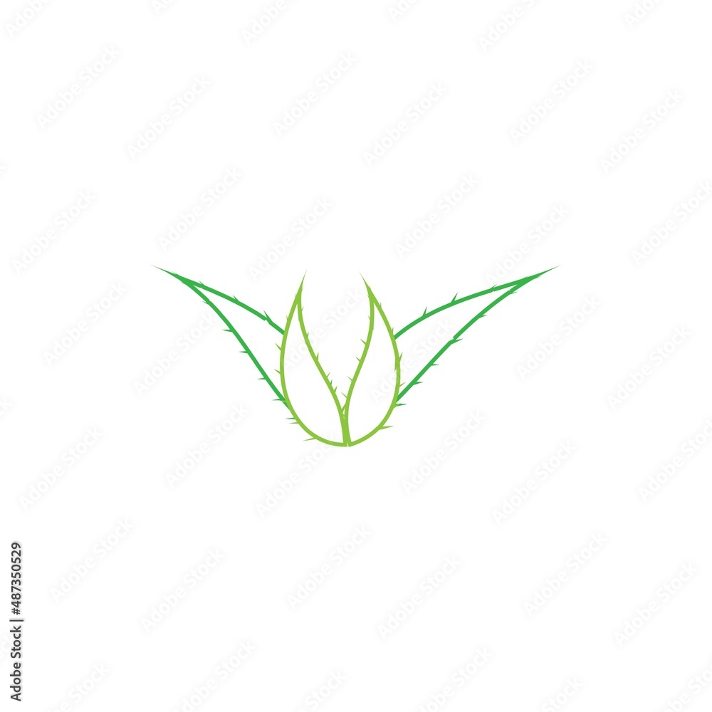 Aloe vera logo vector ilustration template
