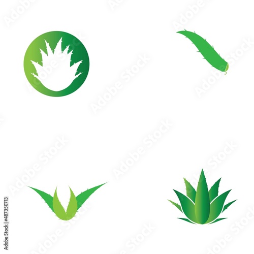 Aloe vera logo vector ilustration template