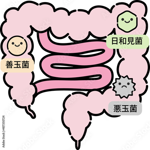 腸内環境のイラスト