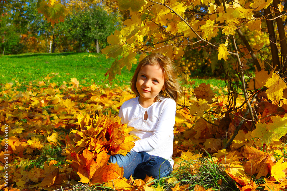 The girl in autumn in fallen leaves The girl in autumn in fallen leaves
