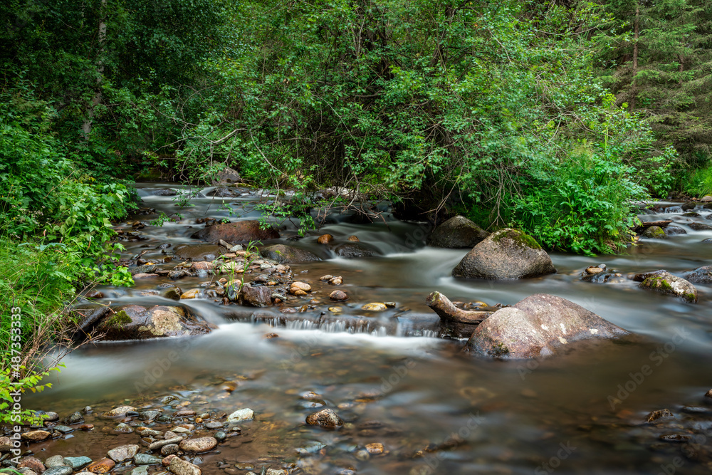 Mountain stream in green forest at spring time Mountain stream in green forest at spring time