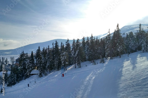 dragobrat Carpathians ukraine photo