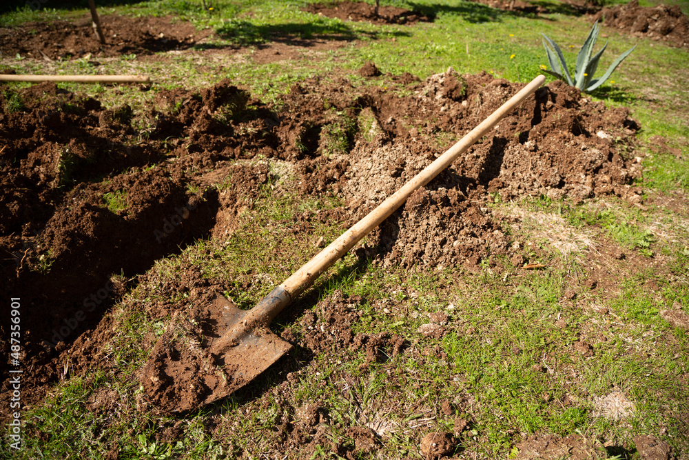 Selective focus of farming shovel on pitted soil. There is fresh soil on a used farming shovel. Gardening, spring, agriculture concept. Selective focus of farming shovel on pitted soil. There is fresh soil on a used farming shovel. Gardening, spring, agriculture concept.