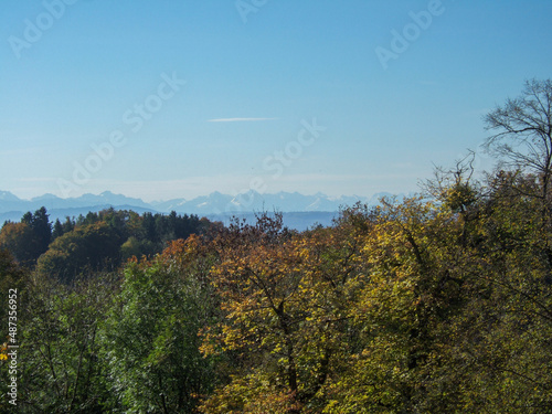 Fototapeta Naklejka Na Ścianę i Meble -  View over some autumn colorful deciduous trees to the Bavarian Alps lightly covered with snow in the haze of the horizon