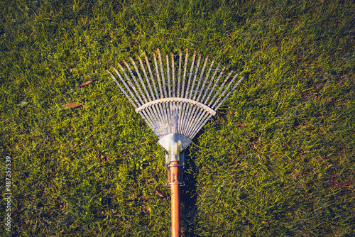 Shiny steel rake with wooden handle on fresh grass. Vintage background photo of gardening harrow in golden hour daylight. Gardening, spring, vintage concept.