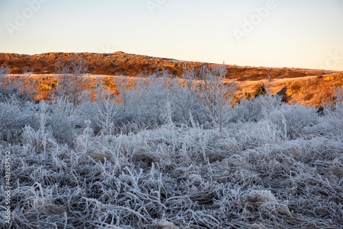 Mit Reif überzogene Landschaft im Naturschutz- und Naherholungsgebiet Heiðmörk nahe Garðabær undweit der Hauptstadt Reykjavik photo