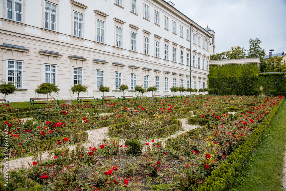 Salzburg, Austria, 28 August 2021: Famous Mirabell gardens near palace, geometrically arranged park, green grass and flowers at summer day, was featured in Sound of Music, Red roses and stone vases