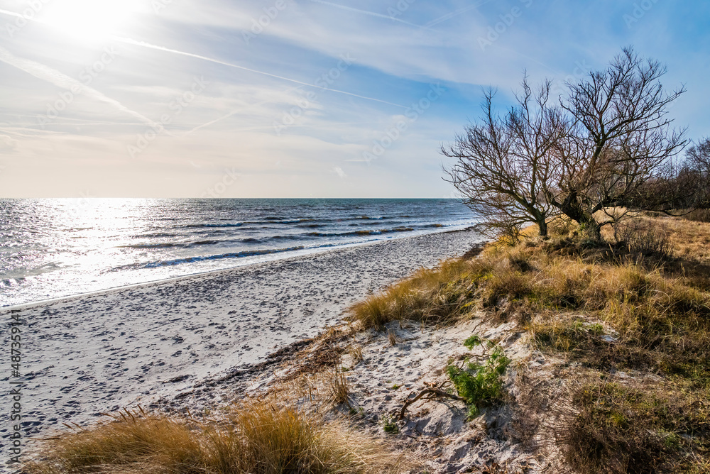 Beddinge Strandhed is a nature reserve and a beach located in Southern Skåne in Sweden