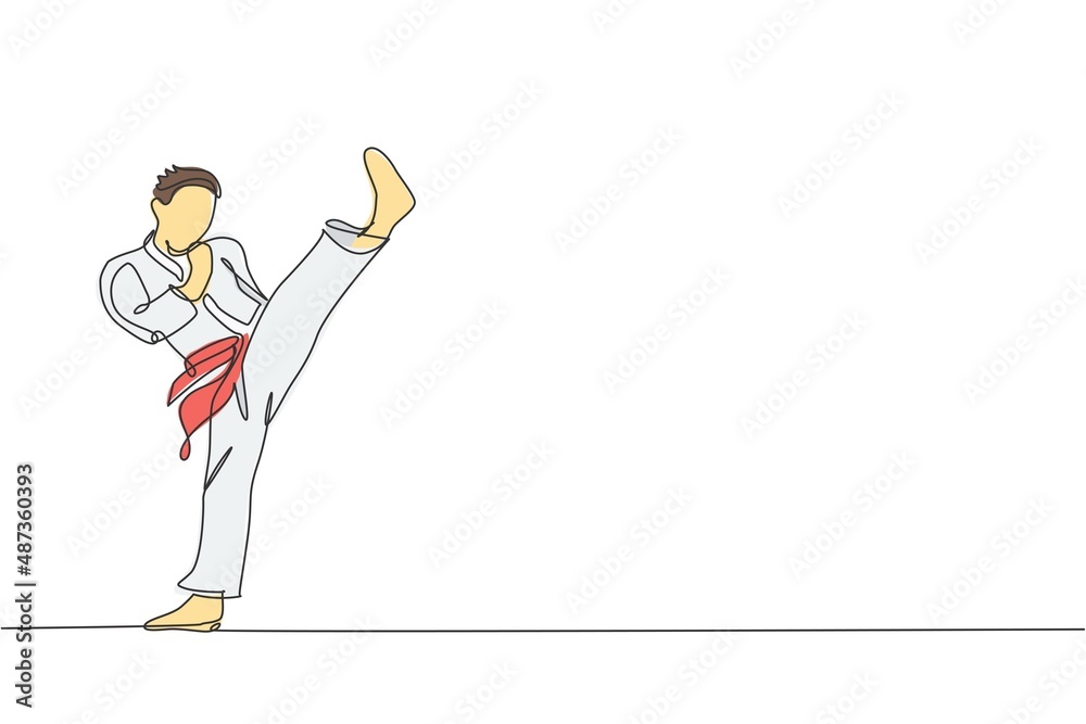One continuous line drawing of young talented karateka man train pose for duel fighting at dojo gym center. Mastering martial art sport concept. Dynamic single line draw design vector illustration One continuous line drawing of young talented karateka man train pose for duel fighting at dojo gym center. Mastering martial art sport concept. Dynamic single line draw design vector illustration