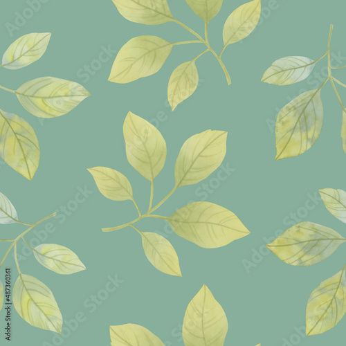 Seamless botanical pattern of green leaves. Watercolor leaves for design, wallpaper, print. Ornament of delicate green leaves. © Sergei