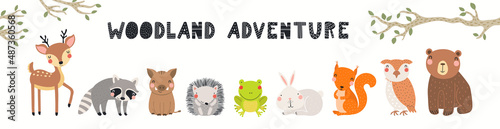 Cute forest animals banner, card, quote Woodland adventure, isolated on white. Hand drawn vector illustration. Scandinavian style flat design. Concept for kids fashion, textile print, poster, card