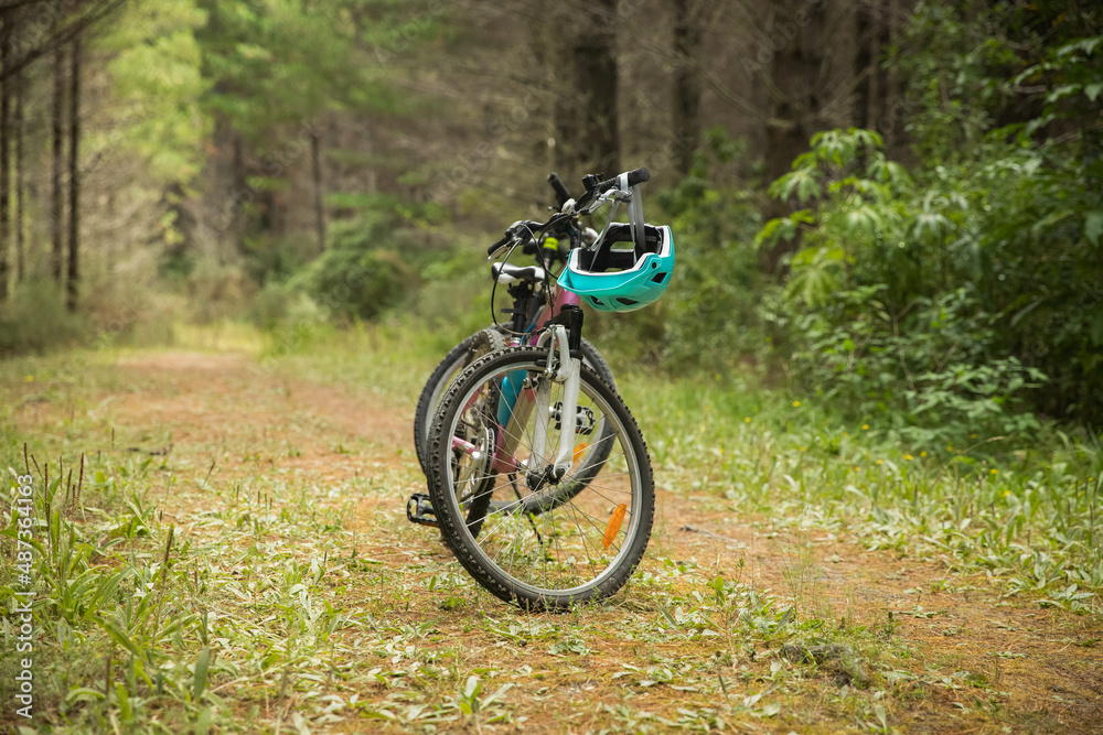 two mountain bikes on natural background, forest or park. healthy lifestyle, family day out. High quality photo