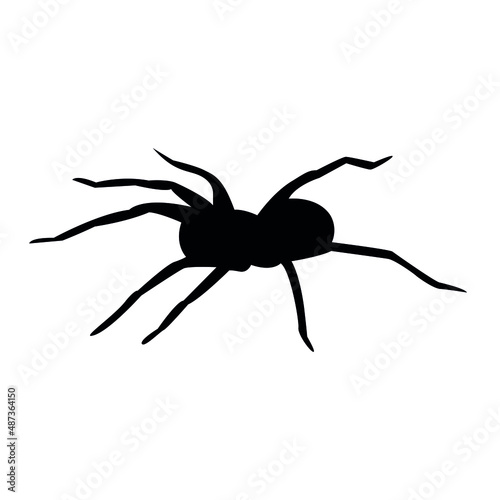 Vector black silhouette of spider, vector icon of insect, eps 10.