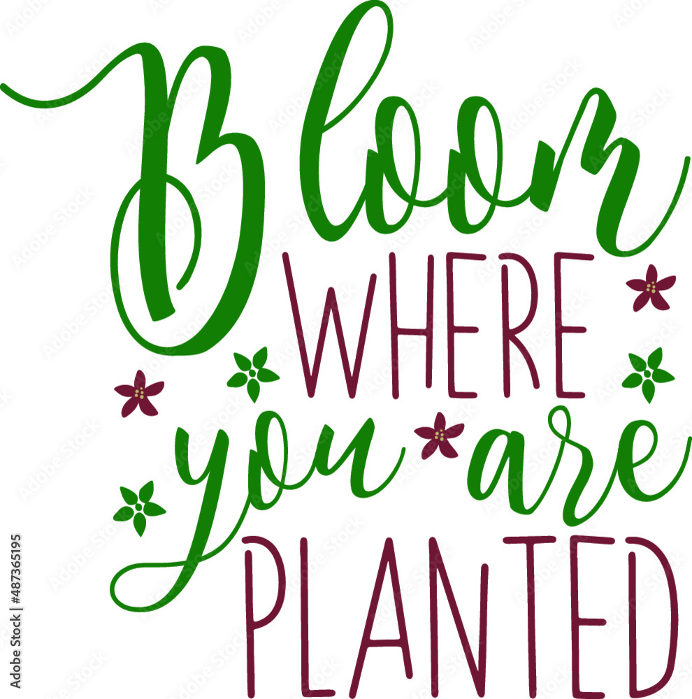 Fototapeta premium Bloom Where You Are Planted