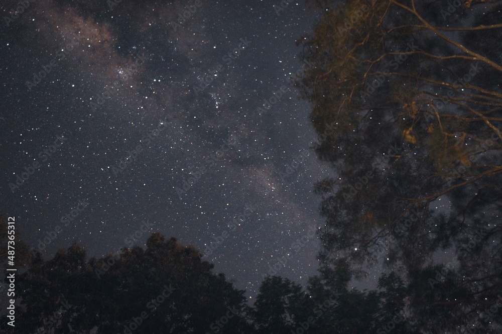 starry night sky starry night sky
