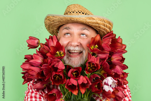happy old retired man portrait in hat hold spring tulip flowers on green background #487365980