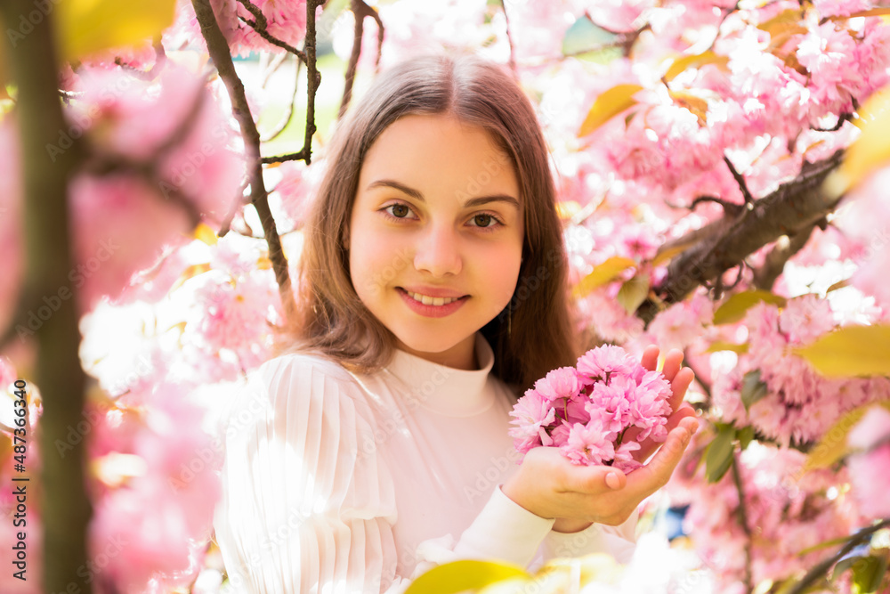 smiling kid at sakura flower bloom in spring smiling kid at sakura flower bloom in spring