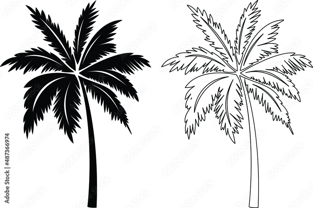 Palm tree silhouette