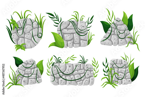 Set of stone boards with liana branches and tropical leaves.