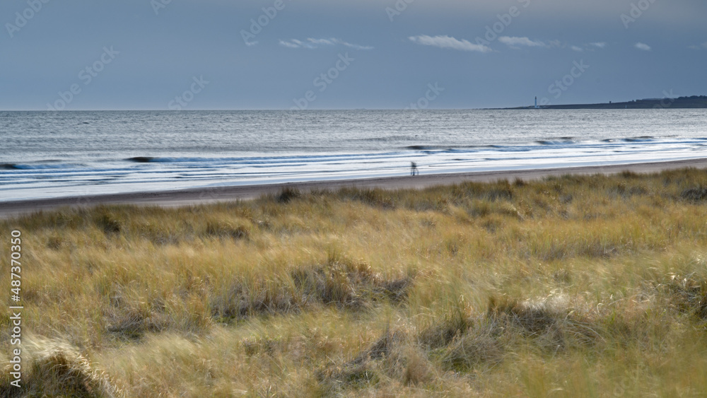 St Cryrus National Nature Reserve