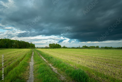Road through stubble and cloudy sky, spring landscape